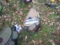/album/primer-dia-de-pesca-2013/a625483-160081004150283-1369135489-n-jpg/